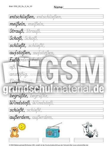 DSS_2S_Bu_ß_Nr_03.pdf